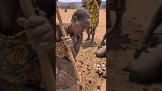 hadza Tribe means of Food [upl. by Nospmas57]