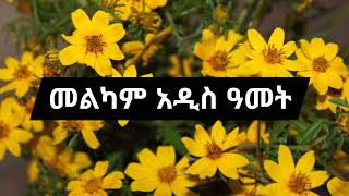 🔆2017🔴 Addis amet mezure Abebayewoshi mezmur colection orthodox Mezmur amet mezmur Addisamet [upl. by Harihs]