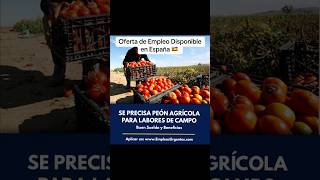 Oferta de Empleo Disponible en España agricultura empleo jobs trabajo agricultores newjobs [upl. by Celle]