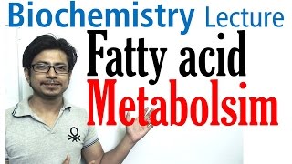 Fatty acid metabolism digestion and transport [upl. by Iggep]