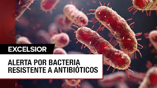 ¿Qué es la klebsiella oxytoca la bacteria detectada en hospitales del Edomex [upl. by Ayifa]