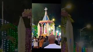 Velankanni Matha Procession 🙏🌹🙏youtubeshorts velankannichurch ammansong short video [upl. by Eelarat]