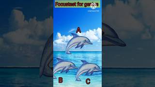 Ultra Pro Max Focus test 🧐 find the real dolphin 🐬shorts videos fish cartoon puzzle focus [upl. by Arteid782]