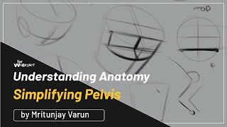 Pelvis in Anatomy by Varun Mritunjay [upl. by Klemens]