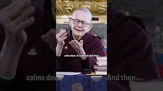 Pema chodron  handshake practice [upl. by Lodi]