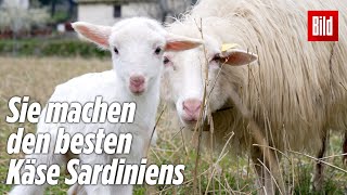 Sardinien Das Land für schöne Strände und den besten Schafskäse [upl. by Call671]