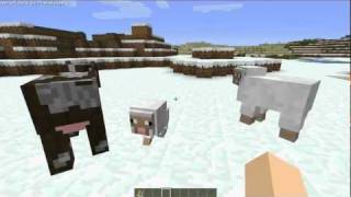 Minecraft Beta 19 Prerelease 3 Download link in the description HD [upl. by Aiuhsoj271]