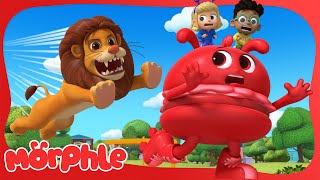 Morphle the Giant Hamburger 🍔  BRAND NEW  Cartoons for Kids  Mila and Morphle [upl. by Hartmunn]