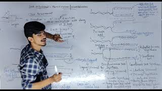 Molecular basis of inheritance class 12 lecture 15 [upl. by Magulac14]