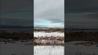 LookOff at Reservoir Park Wolfville NS Jan 22 2024 [upl. by Critchfield554]