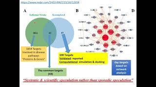 Network Pharmacology overview amp practical approach [upl. by Annai725]