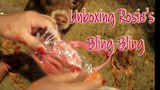 Unboxing Rosies BlingBling  Rosie The Puppy [upl. by Woodman]