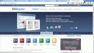 DevExpress Webinars  Ask The Team ASPNET [upl. by Fawne500]