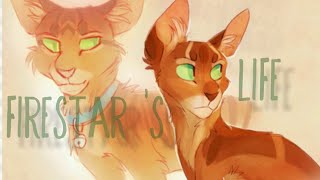 Firestar s Life  Warriors  In the name of love [upl. by Haerb]