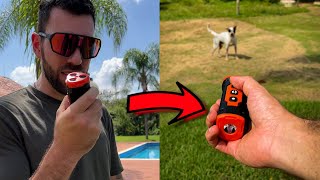 Esse controle remoto de CACHORRO afasta qualquer cão agressivo 😱 [upl. by Ellebyam]