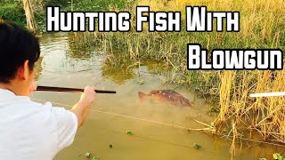 Hunting Fish With Blowgun  Epic Slomo [upl. by Ilwain]