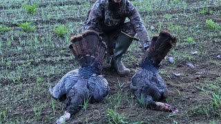 spring turkey season 2024 part 2 podcast [upl. by Jezebel]