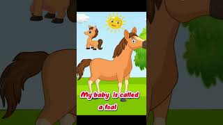 I am Horse  learning  The Horse Song  Farm Animals Songs  Horses for Kids  Nursery Rhymes [upl. by Ahsitra]