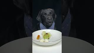 There are only a few eggs and noodles left in the kitchen today Labrador Cute pet debut plan [upl. by Nybor]