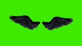 Black Wings Green Screen effects [upl. by Hester]