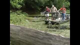 Stormwater Rescue Project  Fish Rescue at Brookfield Pond [upl. by Ilke]