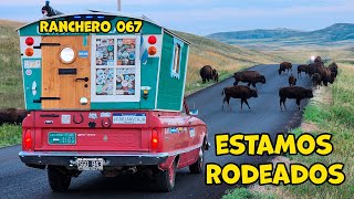 Ranchero 067 👉 BISONTES O BÚFALOS 😂 Mas motos y más historias [upl. by Jerrol]