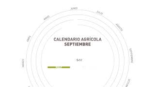 Calendario agrícola  Septiembre [upl. by Siger]