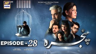 Pinjra Drama Today 28 Episode  30th March 2023  ARY Digital  Pinjra 28 Promo [upl. by Tnomed]