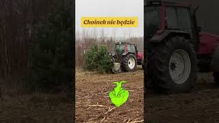 Niechcianych choinek i drzew z nami nie będzie praca choinka sosna jodła choinki [upl. by Nilyaj705]