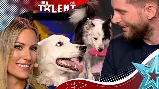 PERRO que reconoce MÁS de 200 palabras y sabe posar  Audiciones 6  Got Talent España 2023 [upl. by Akeryt670]