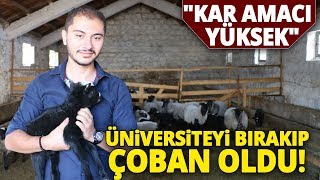 Üniversiteyi Bıraktı Rusyadan Soğuğa Dayanıklı Koyun Getirdi Çoban Oldu [upl. by Daven]