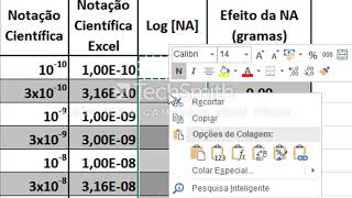 Cálculo EC50 utilizando o excel [upl. by Anayik]