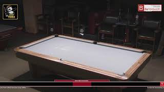 Lucky Panda 10Ball Open Dietlikon [upl. by Ennoira205]