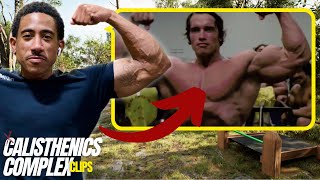 Get Arnold Schwarzeneggers Physique with Calisthenics [upl. by Anived]