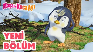 Maşa İle Koca Ayı  Yeni bölüm 2024 🐦 Sıradışı Kuş 👋 Bölüm koleksiyonu 🎬 [upl. by Nonnahc]