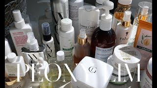 The Best Silicone Sulphate and Paraben Free Hair Products [upl. by Dumanian]