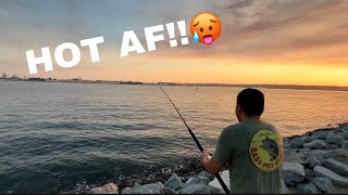 Fishing during San Diego heatwave [upl. by Aerdnaed]