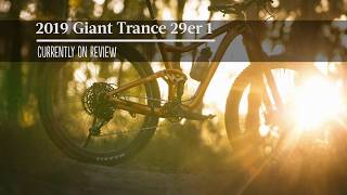 2019 Giant Trance 29er 1  Just in For Review [upl. by Issiah]