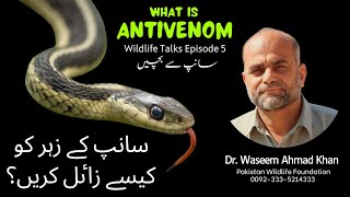 What is Antivenom  How Antivenom is Made  Agar Sanp Kat Lay to Kya Karna Chaheye  Antivenom [upl. by Pruter263]