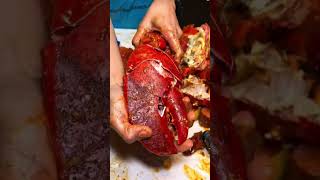 Giant lobster hand meat food lobster streetfoodrecipes indianstreetfood foodie shorts reels [upl. by Reffinej]