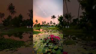 Manwa laage song lyricsaesthetic status 🥰shorts viralvideo [upl. by Ahsinev500]