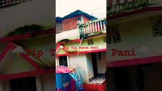 Tip Tip Barsa Pani song youtube best whatsapp status [upl. by Durst832]