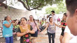 Así bailamos en Oaxaca [upl. by Wayland791]