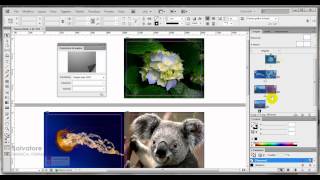 Video tutorial InDesign CS6 come creare un book sfogliabile [upl. by Edra]