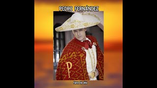 PEDRO FERNANDEZ  FUERON TRES AÑOS LETRA [upl. by Eahsat925]