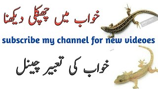 Khwab mai chipkali ko daikhna  khwab ki tabeer in urdu  خواب میں چھپکلی کو دیکھنا [upl. by Annavahs]