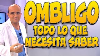 OMBLIGO ¿QUÉ es CÓMO se FORMA para qué SIRVE [upl. by Carry642]