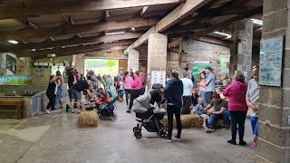 Hesketh Farm Park Bolton Abbey near Skipton  Part 1 Indoors [upl. by Notnil741]