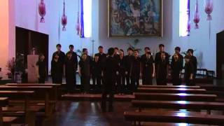 Choir Report Venezia in Musica 2011  Klang Chamber Choir MAL [upl. by Alaster]