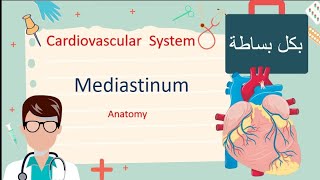 Mediastinum  Anatomy مليان نيمونكس للحفظ [upl. by Dilly941]